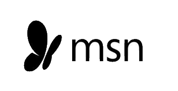 MSN New logo for news article